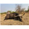 Image 3 : F30 10 Day South Africa Cape Buffalo Cow Hunt for Two Hunters includes One Buffalo Cow per Hunter