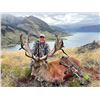 Image 1 : F31 3 Day New Zealand Free Range Red Stag Hunt for One Hunter includes Trophy Fee for One Red Stag