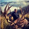 Image 2 : F31 3 Day New Zealand Free Range Red Stag Hunt for One Hunter includes Trophy Fee for One Red Stag