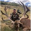 Image 3 : F31 3 Day New Zealand Free Range Red Stag Hunt for One Hunter includes Trophy Fee for One Red Stag