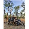 Image 4 : F32 8 Day South African Plains Game Safari for Two - Six Hunters