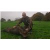 Image 3 : F33 5 Day Ireland Sika Stag Hunt for One Hunter