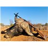 Image 11 : F35 7 Day South Africa Safari for Two Hunters & Two Non-Hunters includes Three Animals