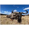 Image 7 : F35 7 Day South Africa Safari for Two Hunters & Two Non-Hunters includes Three Animals