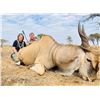 Image 8 : F35 7 Day South Africa Safari for Two Hunters & Two Non-Hunters includes Three Animals