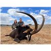 Image 9 : F35 7 Day South Africa Safari for Two Hunters & Two Non-Hunters includes Three Animals