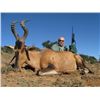 Image 3 : F39 7 Day South Africa Plains Game Safari for Two Hunters includes Three Animals