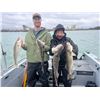 Image 1 : F48 3 Day Lake Erie Trophy Walleye Fishing Charter for Three Anglers, Mon-Thurs Feb 3 to April 3 202