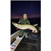 Image 2 : F50 1 Day Minnesota Guided Fishing Trip on Lake Minnetonka for Two Anglers