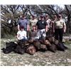 Image 3 : F51 2 Day Texas Feral Hog Hunt for Two Hunters includes Unlimited Hogs