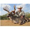 Image 4 : F51 2 Day Texas Feral Hog Hunt for Two Hunters includes Unlimited Hogs
