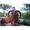 Image 6 : F51 2 Day Texas Feral Hog Hunt for Two Hunters includes Unlimited Hogs