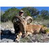 Image 7 : F51 2 Day Texas Feral Hog Hunt for Two Hunters includes Unlimited Hogs