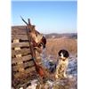 Image 5 : F52 1 Year Membership, 5 Free birds, and One Round of Sporting Clays or 5-Stand for One Person