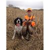 Image 3 : S03 1 Year Membership, 5 Free birds, and One Round of Sporting Clays or 5-Stand for One Person