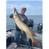 Image 1 : S07 1 Day Minnesota Metro Guided Muskie Fishing Trip for One Angler