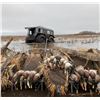 Image 2 : S10 2 Day Minnesota Guided Waterfowl Hunt for One Hunter