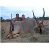 Image 2 : S16 3 Day Mozambique Livingstone Eland Hunt for 1 Hunter, 2025 Only, 1 Livingstone Eland Bull