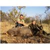 Image 3 : S16 3 Day Mozambique Livingstone Eland Hunt for 1 Hunter, 2025 Only, 1 Livingstone Eland Bull