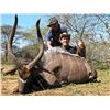 Image 2 : S17 5 Day South Africa Nyala Hunt for Two Hunters includes Trophy Fees for One Nyala per Hunter