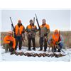 Image 4 : S18 3 Day 4 Night South Dakota Pheasant hunt for Four Hunters at Thunderstik's Rooster Ridge, Jan th