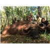 Image 3 : S22 7 Day Tanzania Cape Buffalo Selous Safari for One Hunter