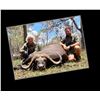 Image 5 : S22 7 Day Tanzania Cape Buffalo Selous Safari for One Hunter