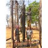 Image 14 : S25 14 Day Mozambique Leopard Hunt for One Hunter