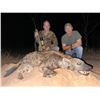 Image 8 : S25 14 Day Mozambique Leopard Hunt for One Hunter