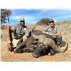 Image 3 : S35 7 Day South Africa Plains Game Hunt for Two Hunters includes $2,000 Trophy Fee Credit per Hunter