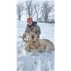 Image 2 : S38 1 Day Minnesota Trophy Ram Hunt for One Hunter