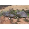 Image 2 : S40 12 Day South Africa Plains Game Safari for Two Hunters with $1,500 Trophy Fee Credit per Hunter