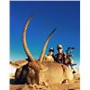 Image 7 : S40 12 Day South Africa Plains Game Safari for Two Hunters with $1,500 Trophy Fee Credit per Hunter