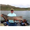 Image 4 : FORT PECK GUIDED FISHING TRIP