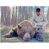 Image 1 : 6-DAY ALBERTA BLACK BEAR AND WOLF HUNT FOR ONE HUNTER (MUST BRING PAYING HUNTER)