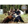 Image 3 : 6-DAY ALBERTA BLACK BEAR AND WOLF HUNT FOR ONE HUNTER (MUST BRING PAYING HUNTER)