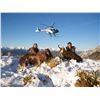 Image 4 : NEW ZEALAND HUNT FOR TWO HUNTERS IN PURSUIT OF RED STAG, GOAT AND RAM IN 2025, 2026 OR 2027