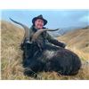Image 7 : NEW ZEALAND HUNT FOR TWO HUNTERS IN PURSUIT OF RED STAG, GOAT AND RAM IN 2025, 2026 OR 2027