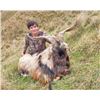 Image 8 : NEW ZEALAND HUNT FOR TWO HUNTERS IN PURSUIT OF RED STAG, GOAT AND RAM IN 2025, 2026 OR 2027