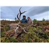 Image 2 : SCOTLAND RED STAG HUNT FOR ONE HUNTER