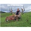 Image 3 : SCOTLAND RED STAG HUNT FOR ONE HUNTER