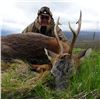 Image 3 : SCOTLAND SPRING ROE DEER HUNT FOR ONE HUNTER