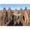 Image 4 : TEXAS SANDHILL CRANE HUNT FOR ONE HUNTER (ACCOMPANIED BY ONE FULL PAYING HUNTER)