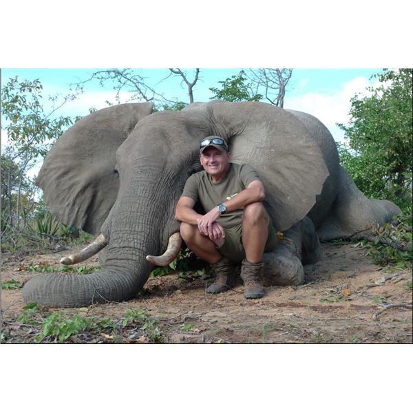 5-Day African Elephant Hunting Safari with Nhoro Safaris