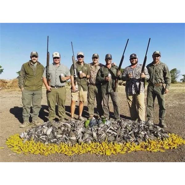 4-Day Argentina Dove & Pigeon Hunting Adventure for 3 Hunters with Luxury Accommodations