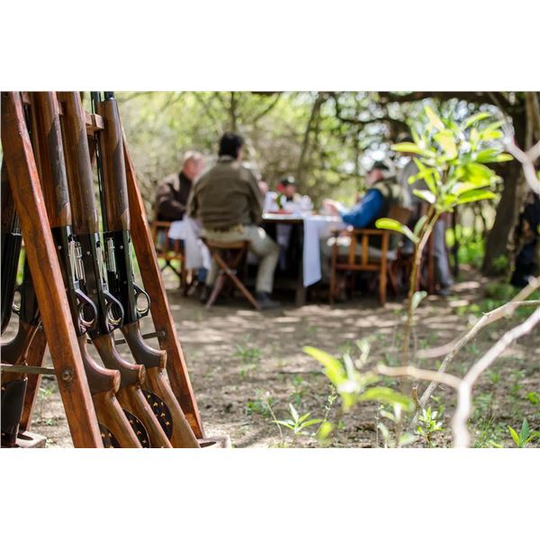 Argentina Dove Hunt at a Premier David Denies Property - 3 nights for 4 hunters