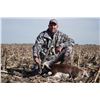 Image 4 : Black Buck Antelope Hunt and Dove Shooting Combo in Buenos Aires, Argentina for 2 hunters
