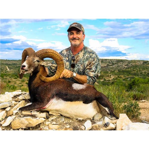 3-Day, 2-Night Mouflon Hunt at the Famous Ox Ranch in Uvalde, Texas