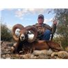 Image 2 : 3-Day, 2-Night Mouflon Hunt at the Famous Ox Ranch in Uvalde, Texas
