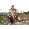 Image 4 : 3-Day, 2-Night Mouflon Hunt at the Famous Ox Ranch in Uvalde, Texas